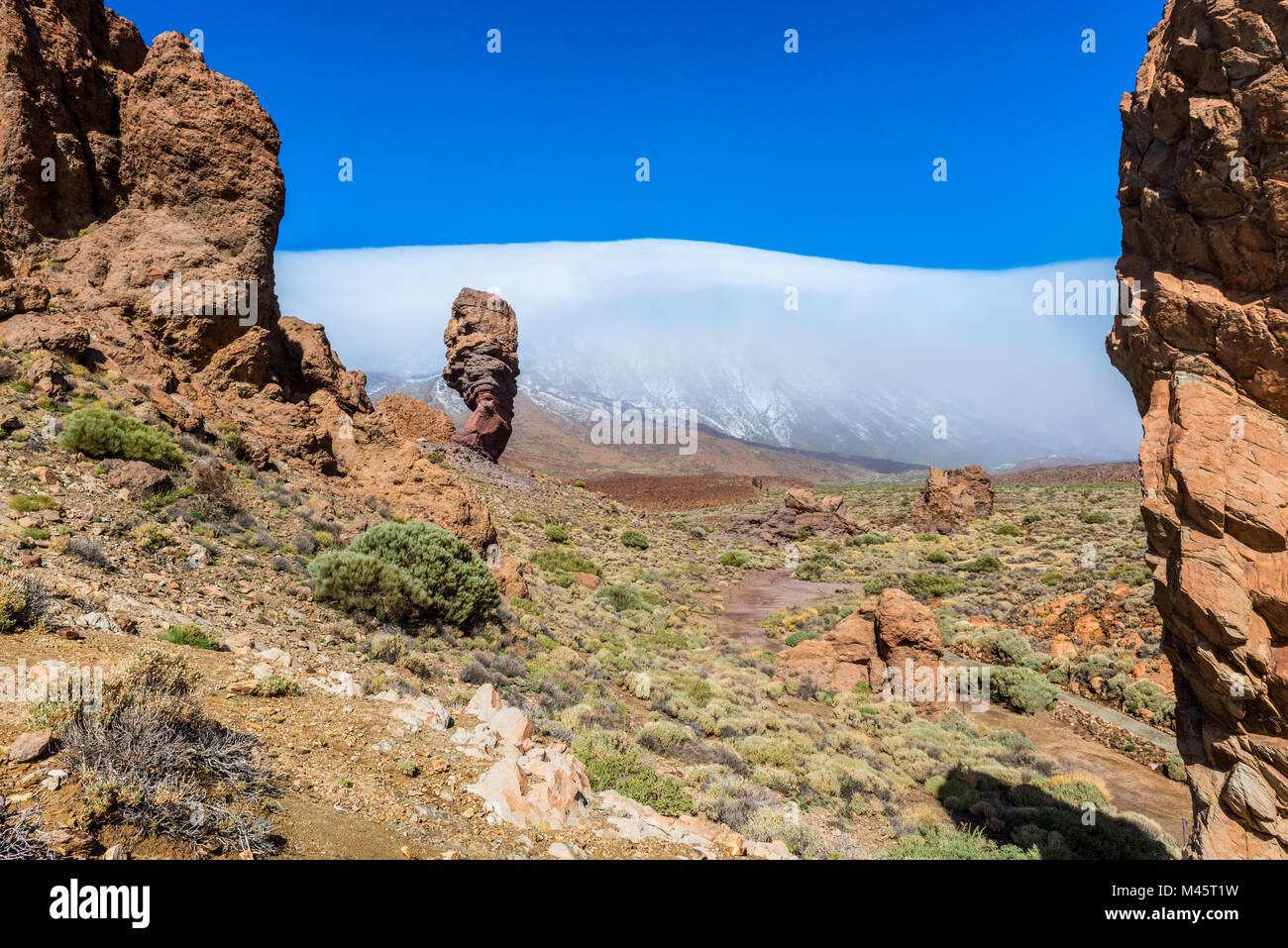 Rochers dans le Parc National de Teide, Tenerife, Canaries, Espagne Banque D'Images