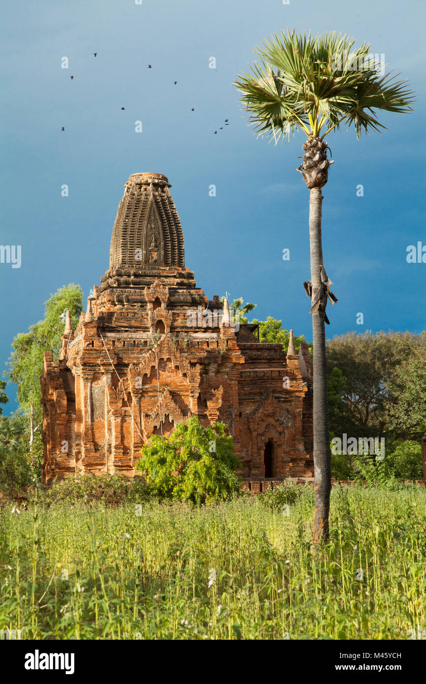 Temple de Bagan Myanmar Banque D'Images