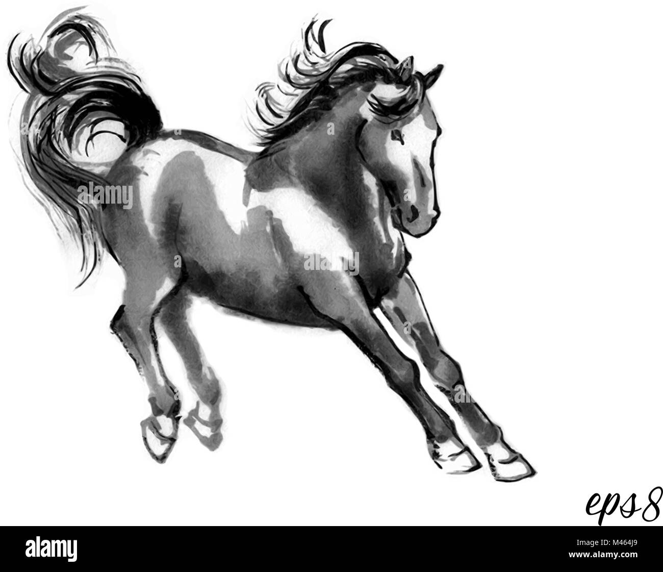 Illustration vecteur de Sumi-e d'un cheval de saut, l'atterrissage sur les jambes avant. Peinture, encre d'Orient isolé sur fond blanc. Illustration de Vecteur