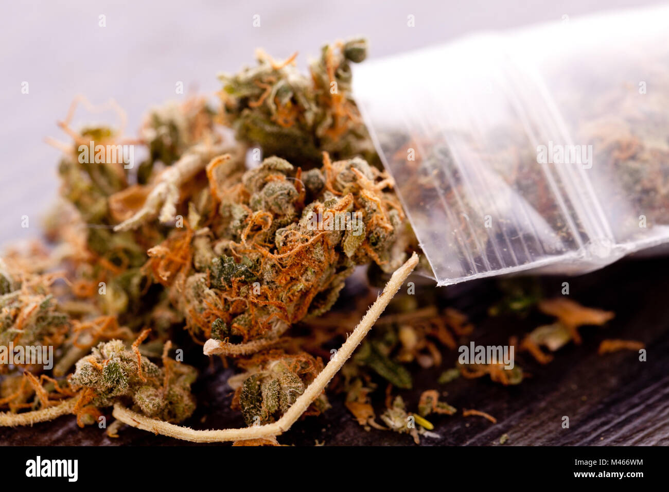 Close up de la marijuana séchée feuilles sur la table Banque D'Images