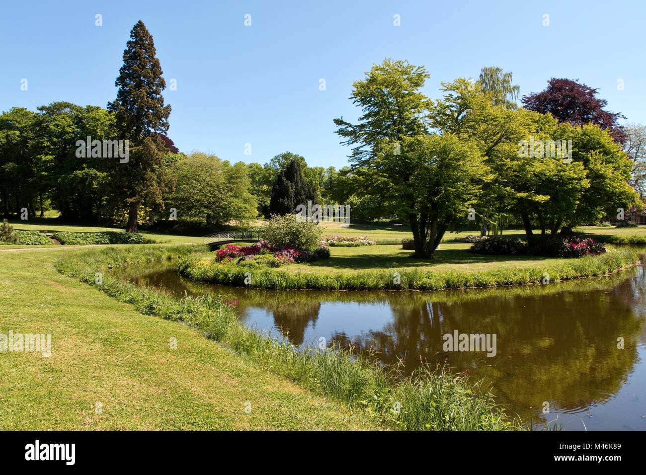 Petit lac dans un parc à l'heure d'été Banque D'Images