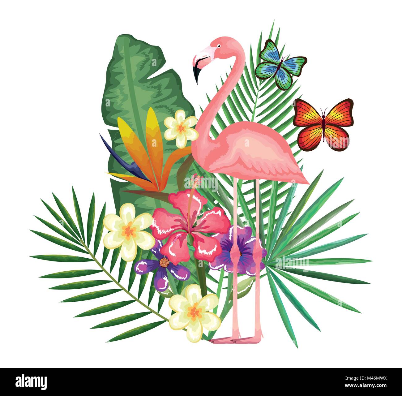 Jardin tropicales et exotiques avec vector illustration design flamand Illustration de Vecteur