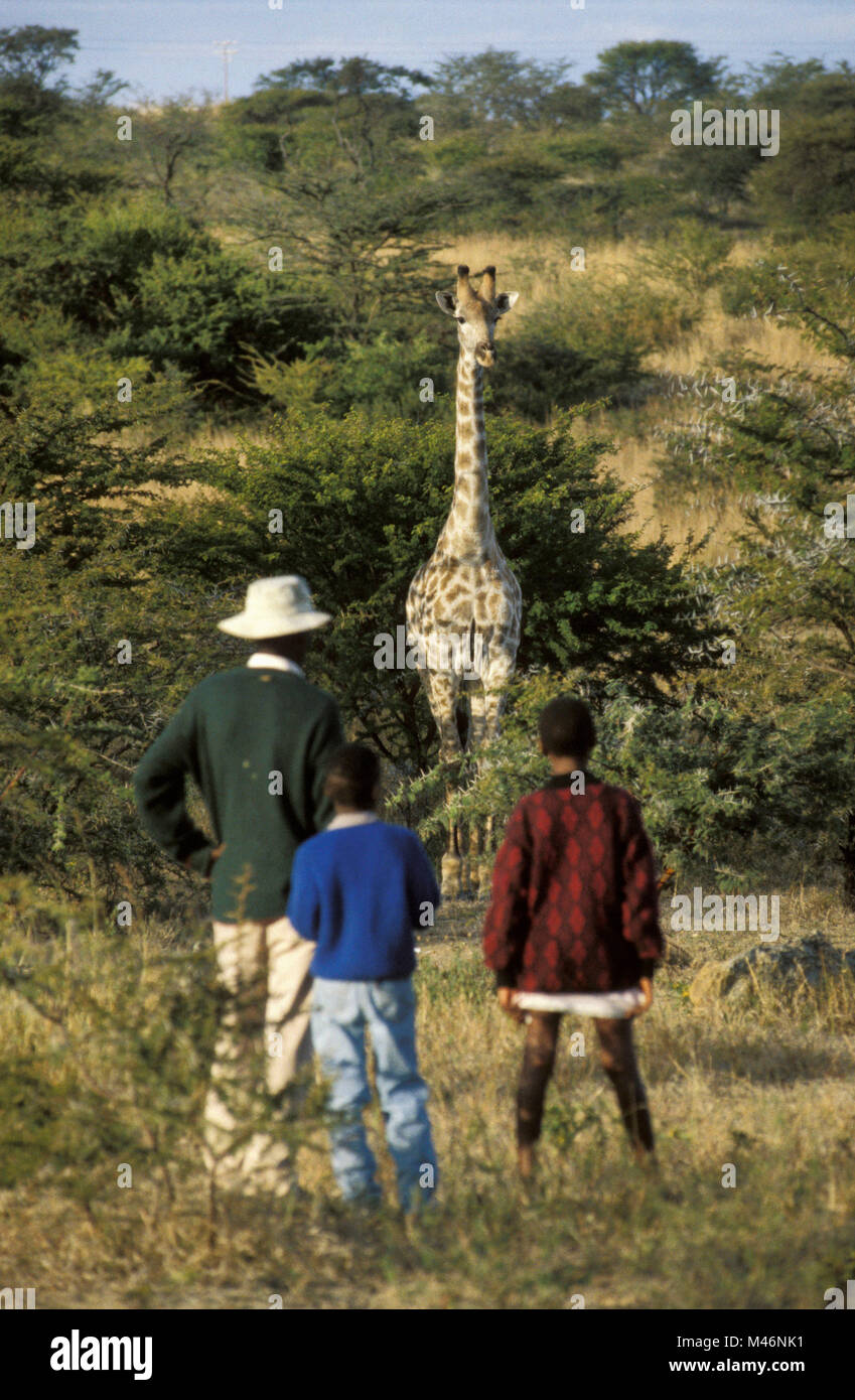 Le Zimbabwe. Près de Bulawayo. Girafe. L'homme, garçon et fille. Banque D'Images