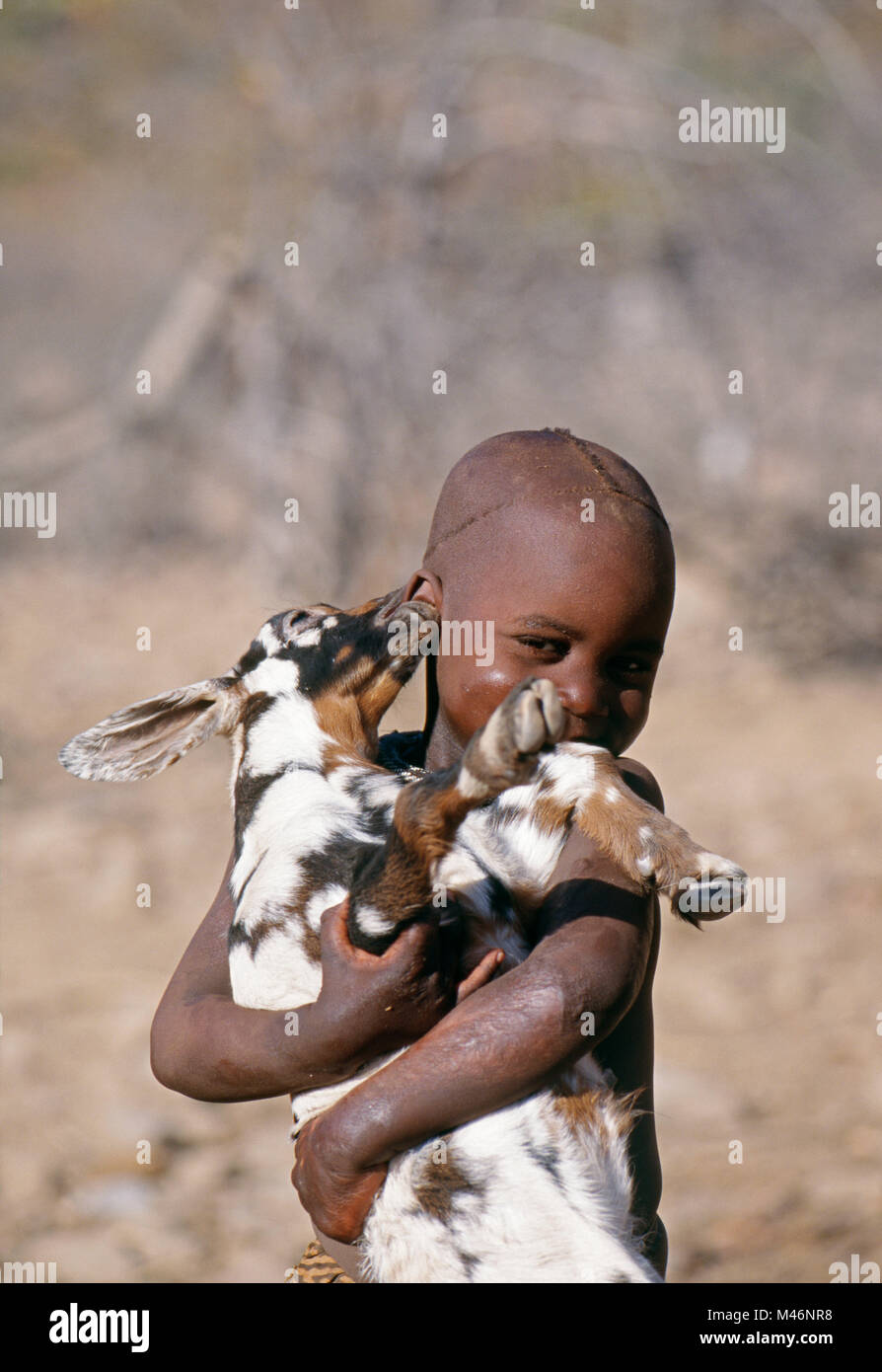 La Namibie. Kaokoveld, près d'Opuwo. La tribu Himba. Garçon. Goat tente de mordre l'oreille. Banque D'Images