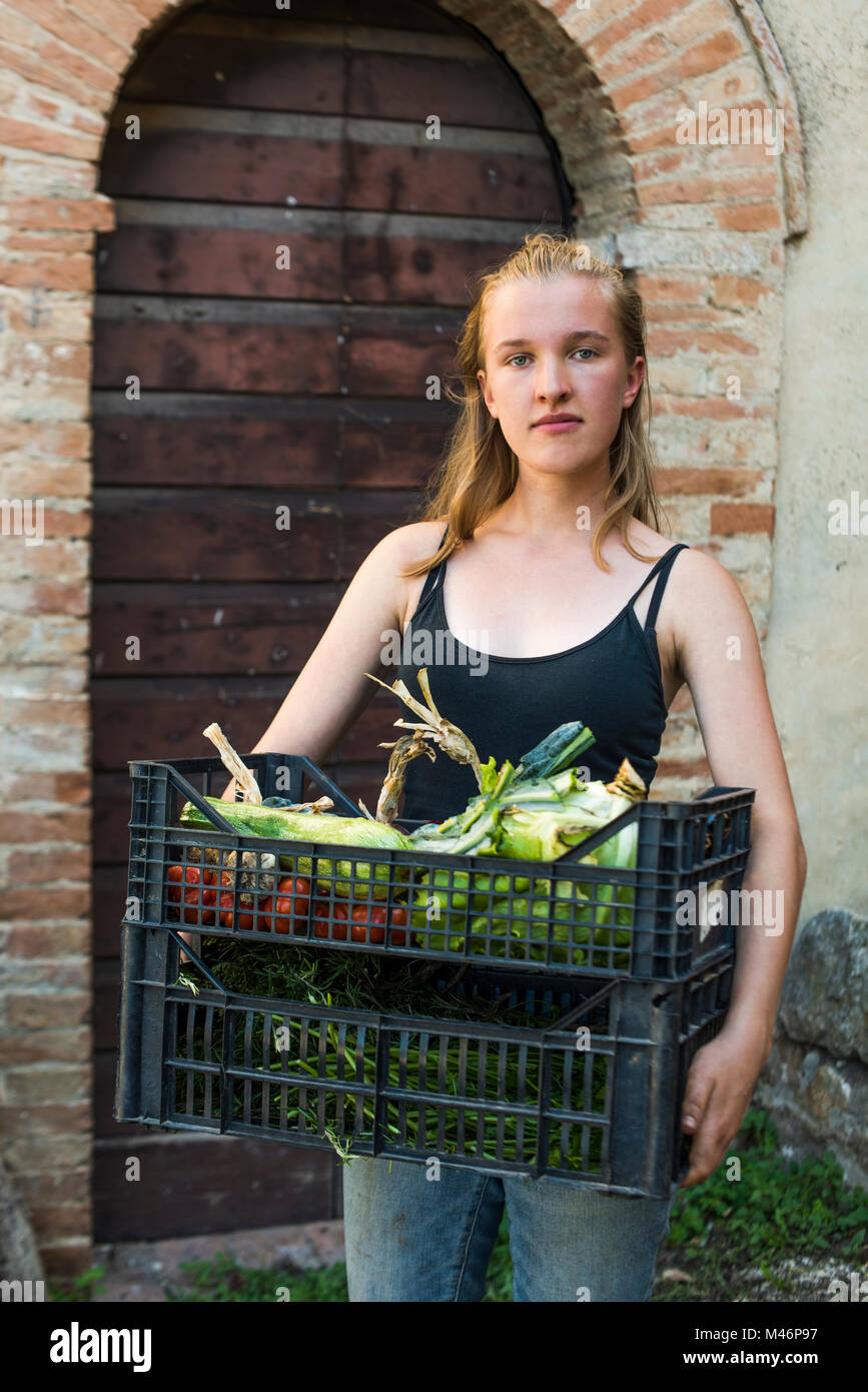 Farmer holding cageots de légumes récoltés,Toscane, Italie. Banque D'Images