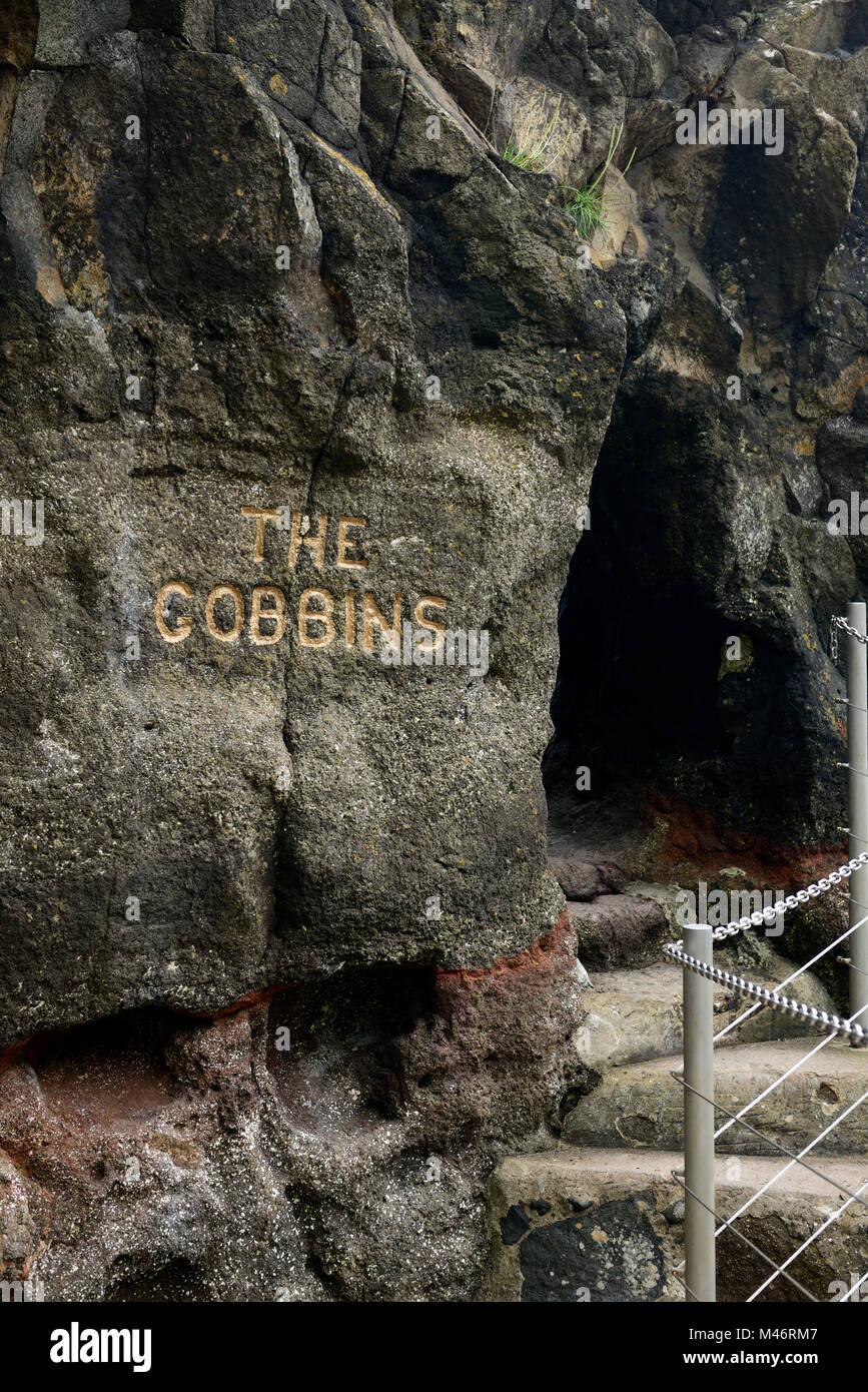 Les Gobbins Chemin falaise spectaculaire,entrée,Cliff Walk,Metal,Pont,Route côtière de la chaussée des ponts,Islandmagee,le comté d'Antrim, Irlande du Nord Irlande,RM Banque D'Images