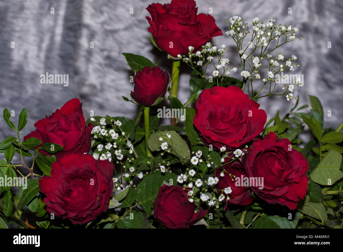 Une photo d'un bouquet de roses rouges avec des petites fleurs blanc souffle Babys en mixte , avec les feuilles vertes . Pris sur St-valentin Banque D'Images