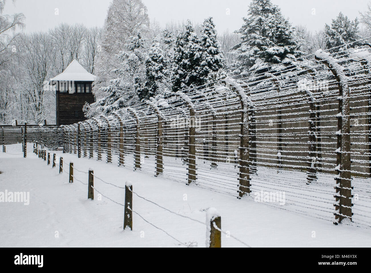Auschwitz, Malopolskie / Pologne - 04 févr. 2018 : Auschwitz Birkenau, camp de concentration et d'extermination nazis, barbelés. Banque D'Images