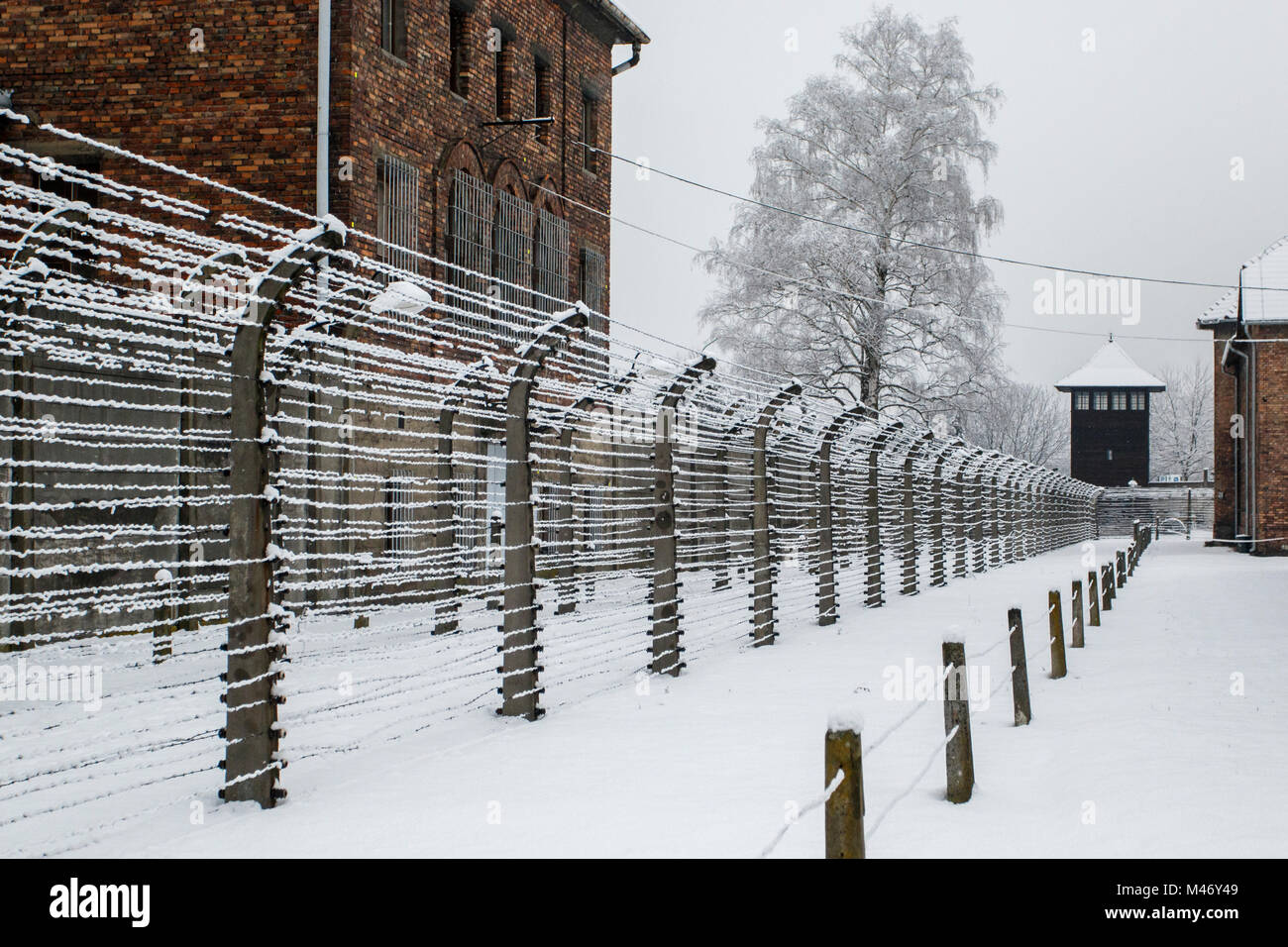 Auschwitz, Malopolskie / Pologne - 04 févr. 2018 : Auschwitz Birkenau, camp de concentration et d'extermination nazis, barbelés. Banque D'Images