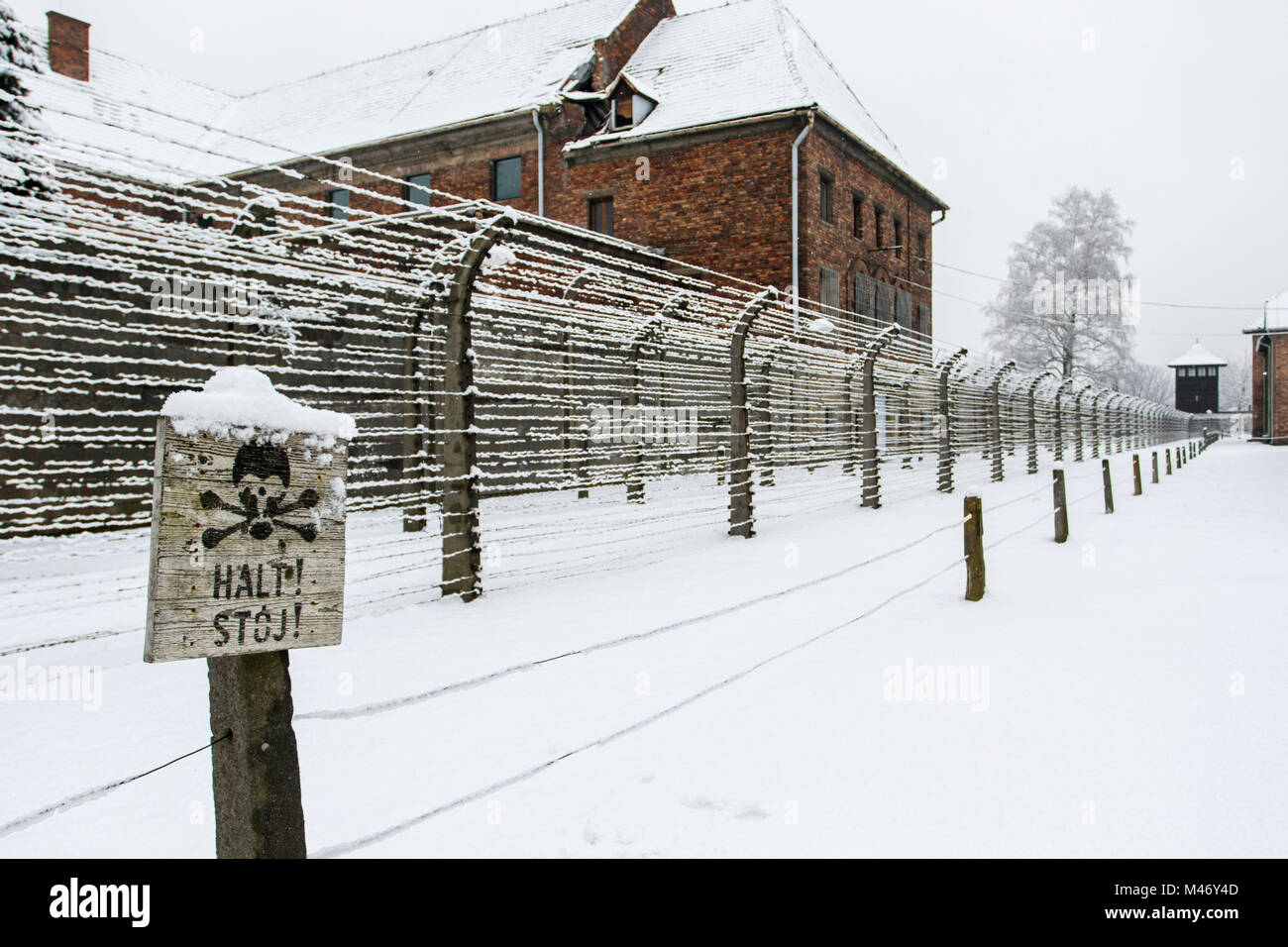 Auschwitz, Malopolskie / Pologne - 04 févr. 2018 : Auschwitz Birkenau, camp de concentration et d'extermination nazis, barbelés. Banque D'Images