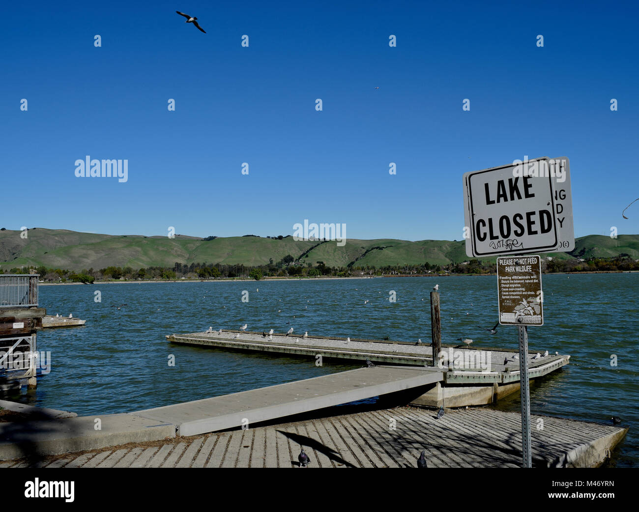 Lake fermé et ne pas nourrir la faune signe au lac Elizabeth, Central Park, Californie, Etats-Unis Fremont Banque D'Images