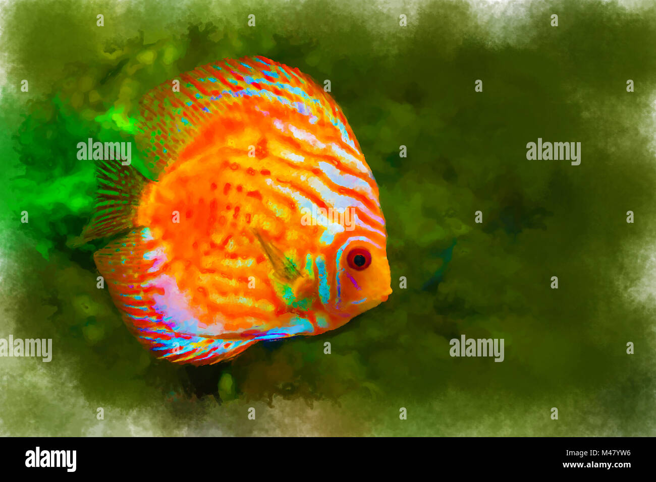 Poissons tropicaux aux couleurs vives sur fond d'algues Banque D'Images
