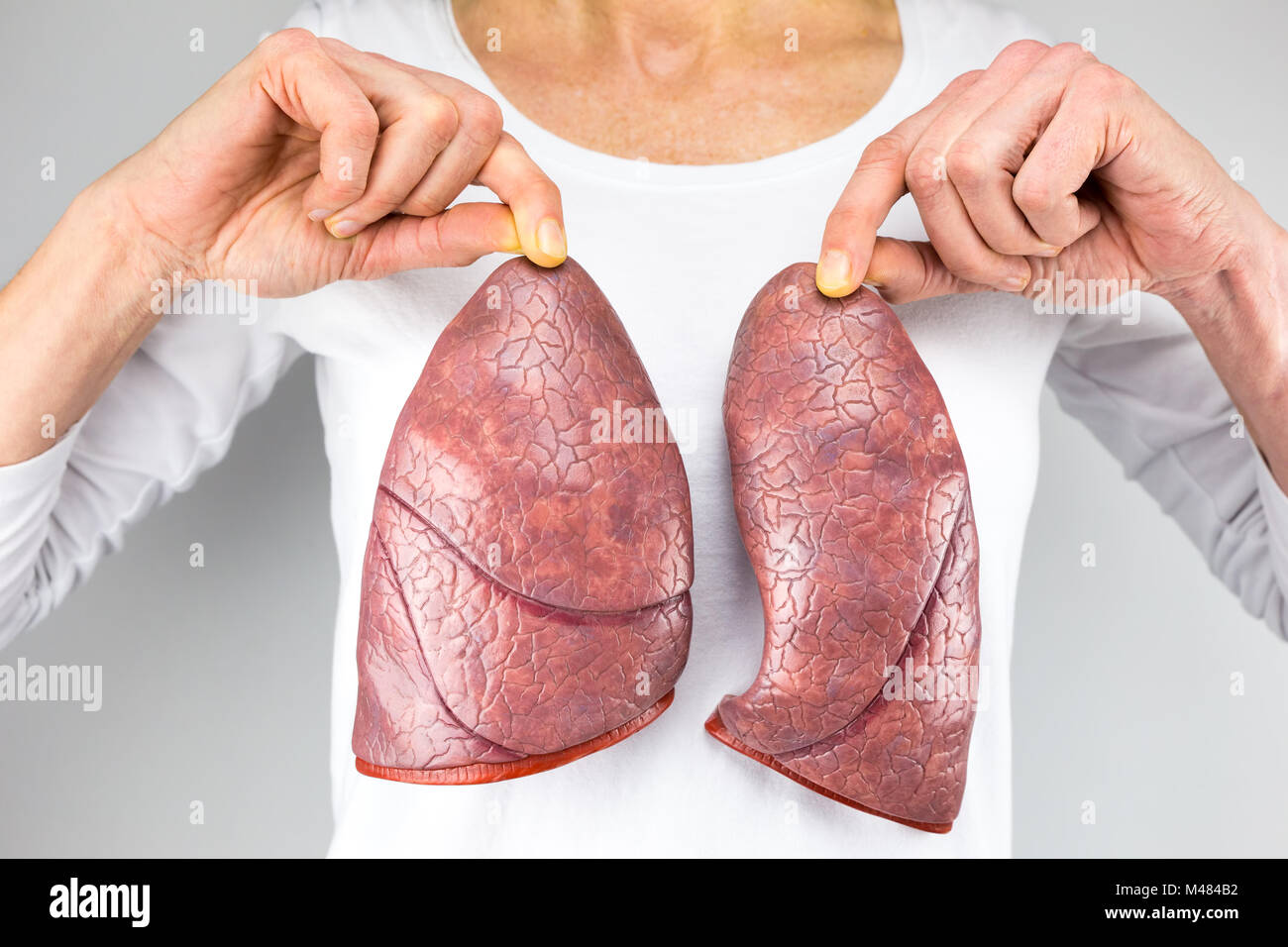 Femme tenant deux modèles pulmonaire en face de la poitrine Banque D'Images