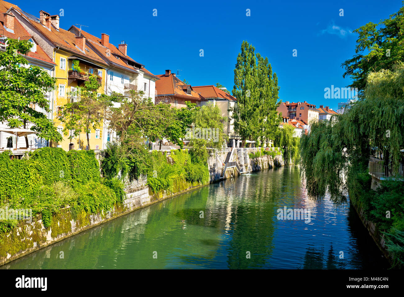 Green riverfront de Ljubljana maisons anciennes Banque D'Images