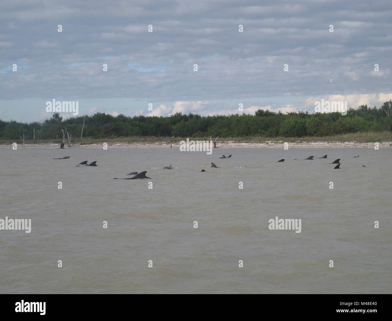 <1 L'pod off highland beach. Banque D'Images