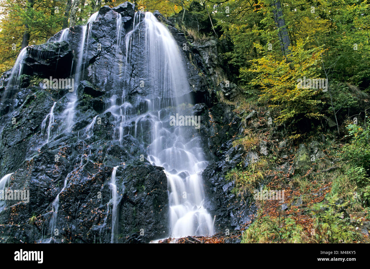 Dans Radau-Waterfall automne / Bad Harzburg - Niedersachsen Banque D'Images