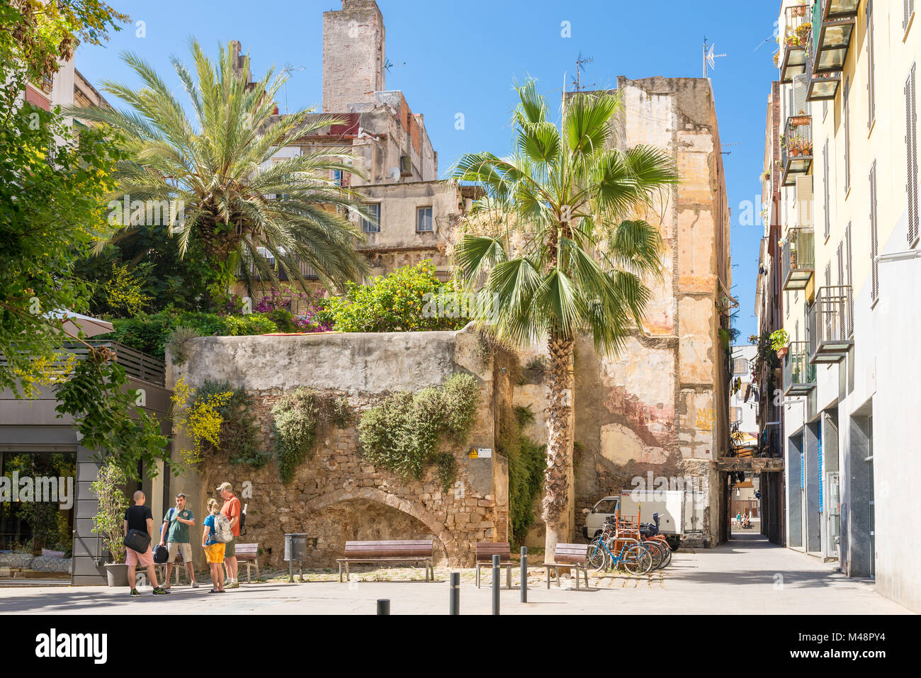 Toit-jardin et de verdure dans le quartier de La Ribera de Barcelone Banque D'Images