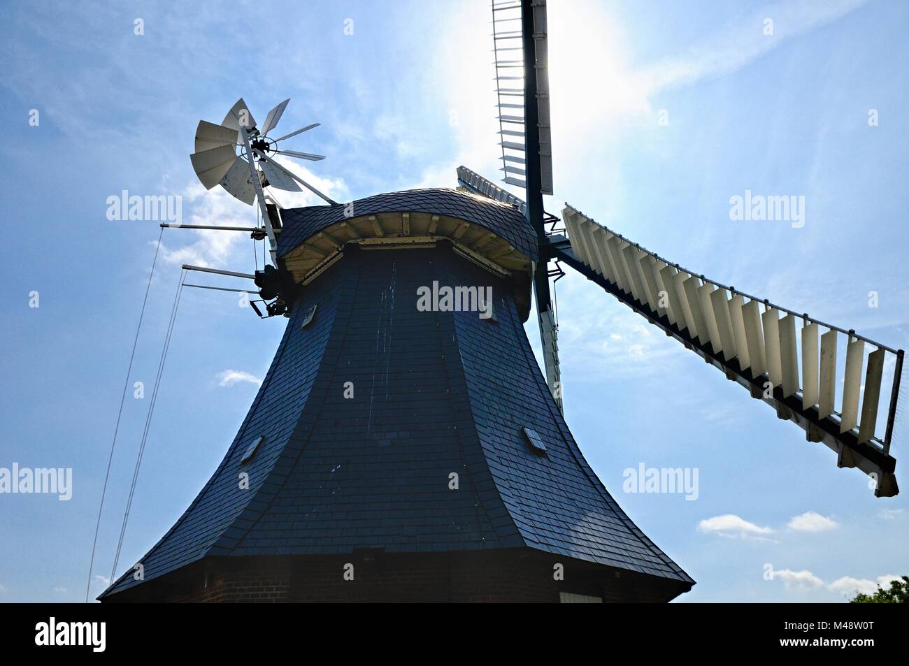 Dans la lumière du soleil l'usine Krokauer Dahme Allemagne Mer Baltique Banque D'Images