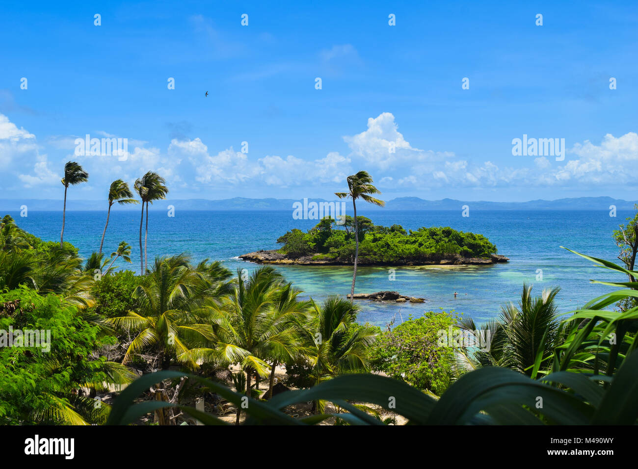 Belle île de la mer des caraïbes, palmiers, ciel bleu, vert et bleu de l'eau, République Dominicaine Banque D'Images
