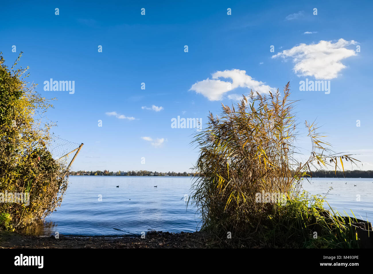 Daemeritzsee au lac, Berlin-Rahnsdorf, Allemagne Banque D'Images