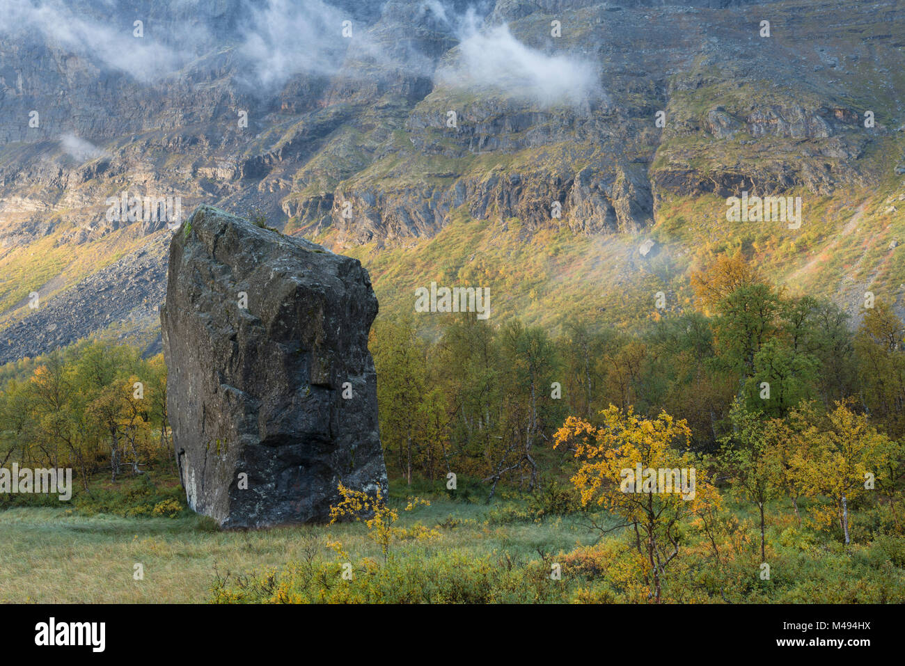 Grosse pierre dans le delta Rapa un matin d'automne brumeux, Laponia Site du patrimoine mondial, Laponie, Suède, septembre Banque D'Images