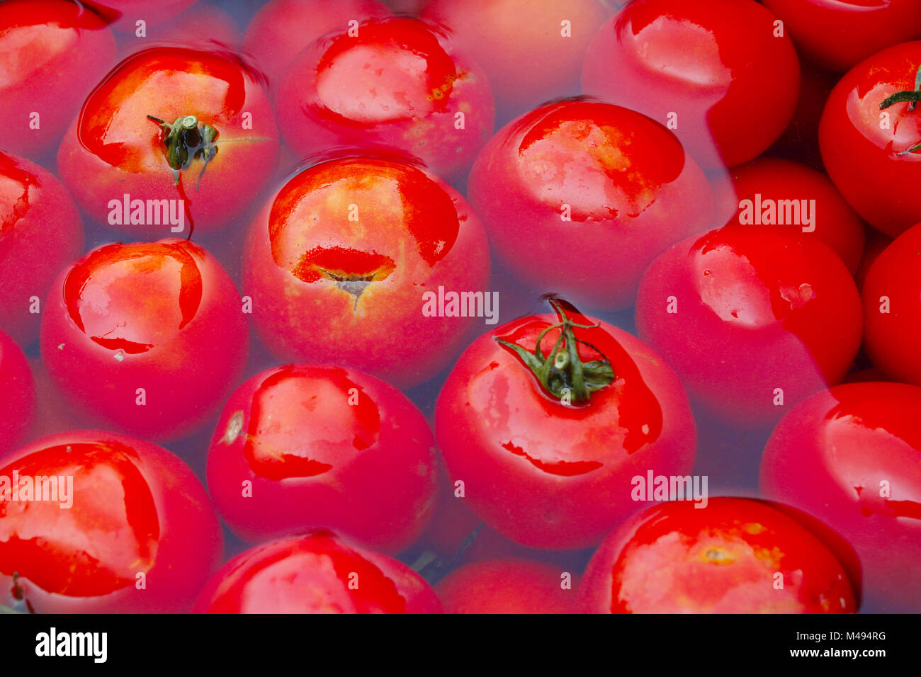 Les tomates rouges dans l'eau prêt pour la préservation Banque D'Images