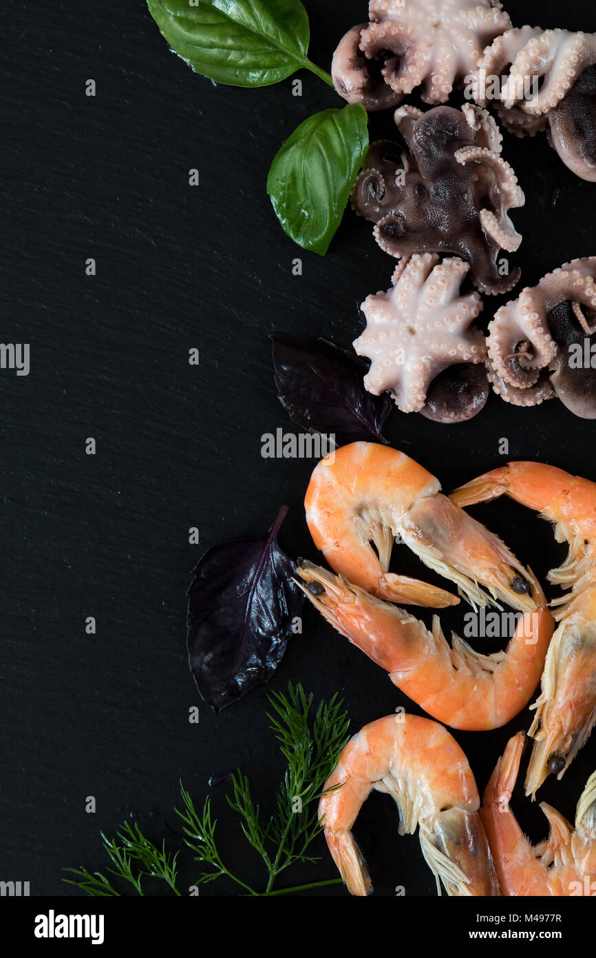 Crevette rose gastronomique et pieuvres aux herbes et épices Banque D'Images