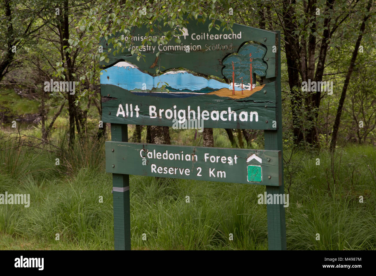 La Commission forestière de la rivière Orchy Allt Broighleachan enseigne Argyll Ecosse Banque D'Images