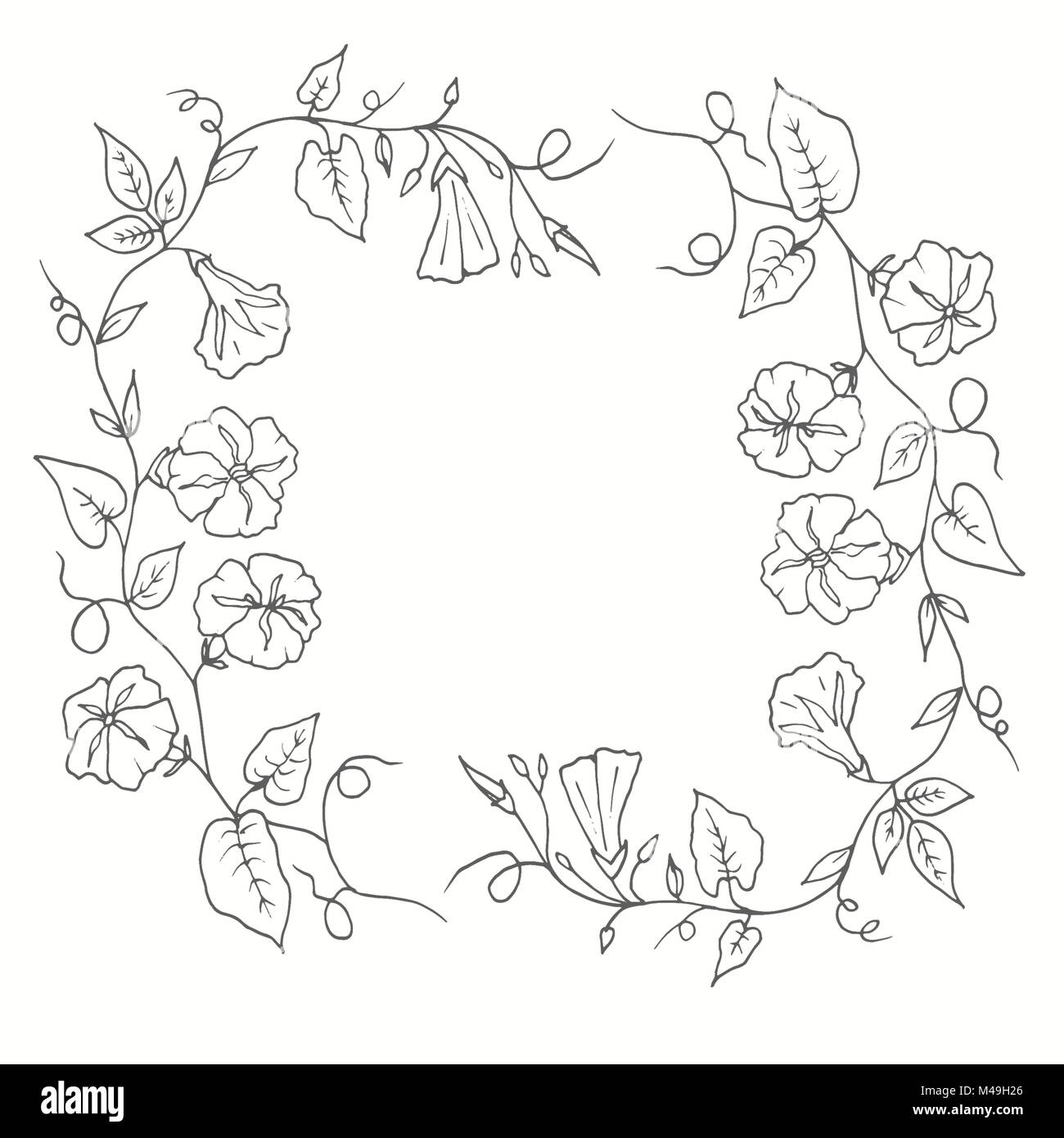 Définir des contours de curly fleurs et plantes botaniques. Image isolé sur fond blanc. Illustration faite à la main. Feuilles et brindilles. Les bourgeons et les lames du Banque D'Images