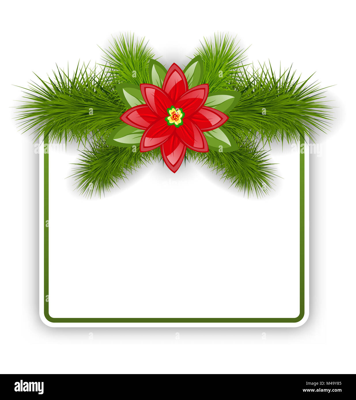 Carte postale de Noël avec des branches de sapin et des fleurs poinsettia Banque D'Images