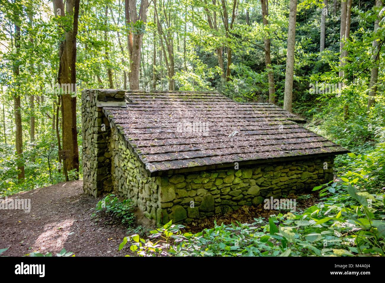 Coulisses le long sentier des Appalaches dans la région de Great Smoky Mountains Banque D'Images