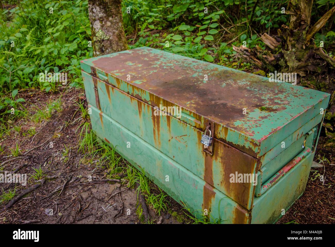 Coulisses le long sentier des Appalaches dans la région de Great Smoky Mountains Banque D'Images