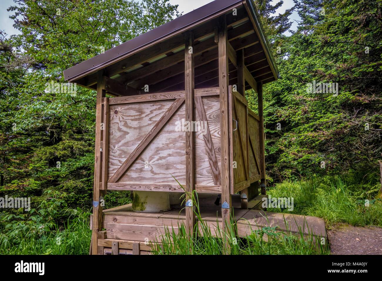 Coulisses le long sentier des Appalaches dans la région de Great Smoky Mountains Banque D'Images