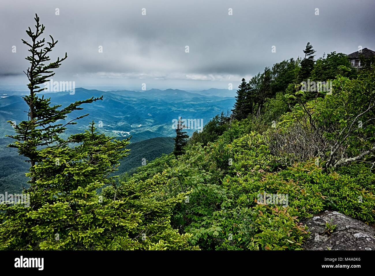 Coulisses le long sentier des Appalaches dans la région de Great Smoky Mountains Banque D'Images