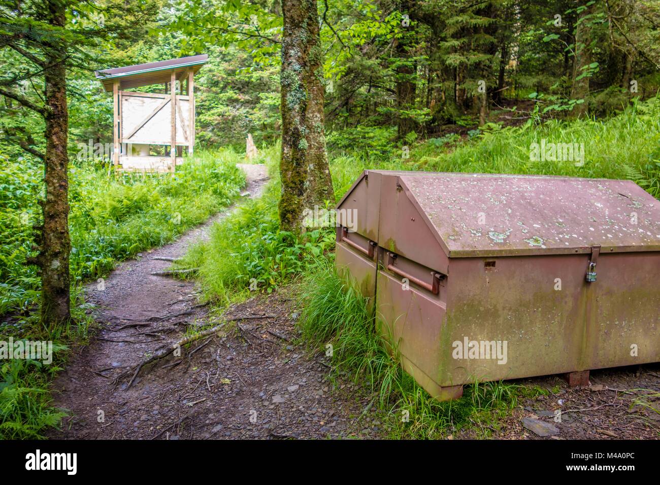 Coulisses le long sentier des Appalaches dans la région de Great Smoky Mountains Banque D'Images