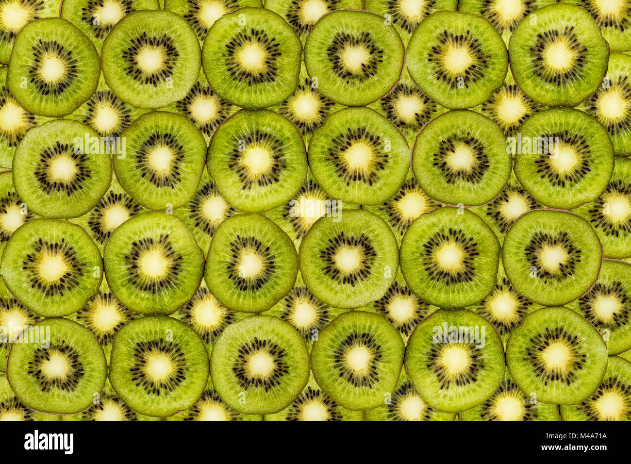 Arrière-plan de tranches de kiwi frais isolated on white Banque D'Images