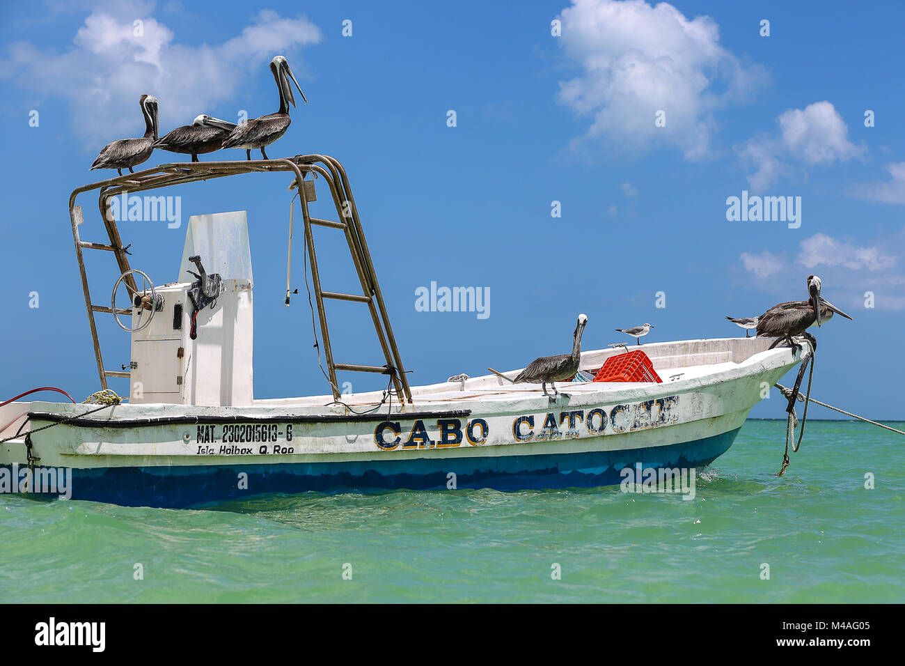 Cette promenade sur un bateau pelican. Banque D'Images