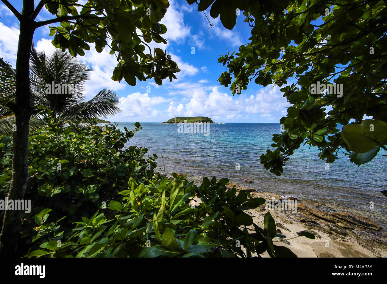 Vieques Beach... Banque D'Images