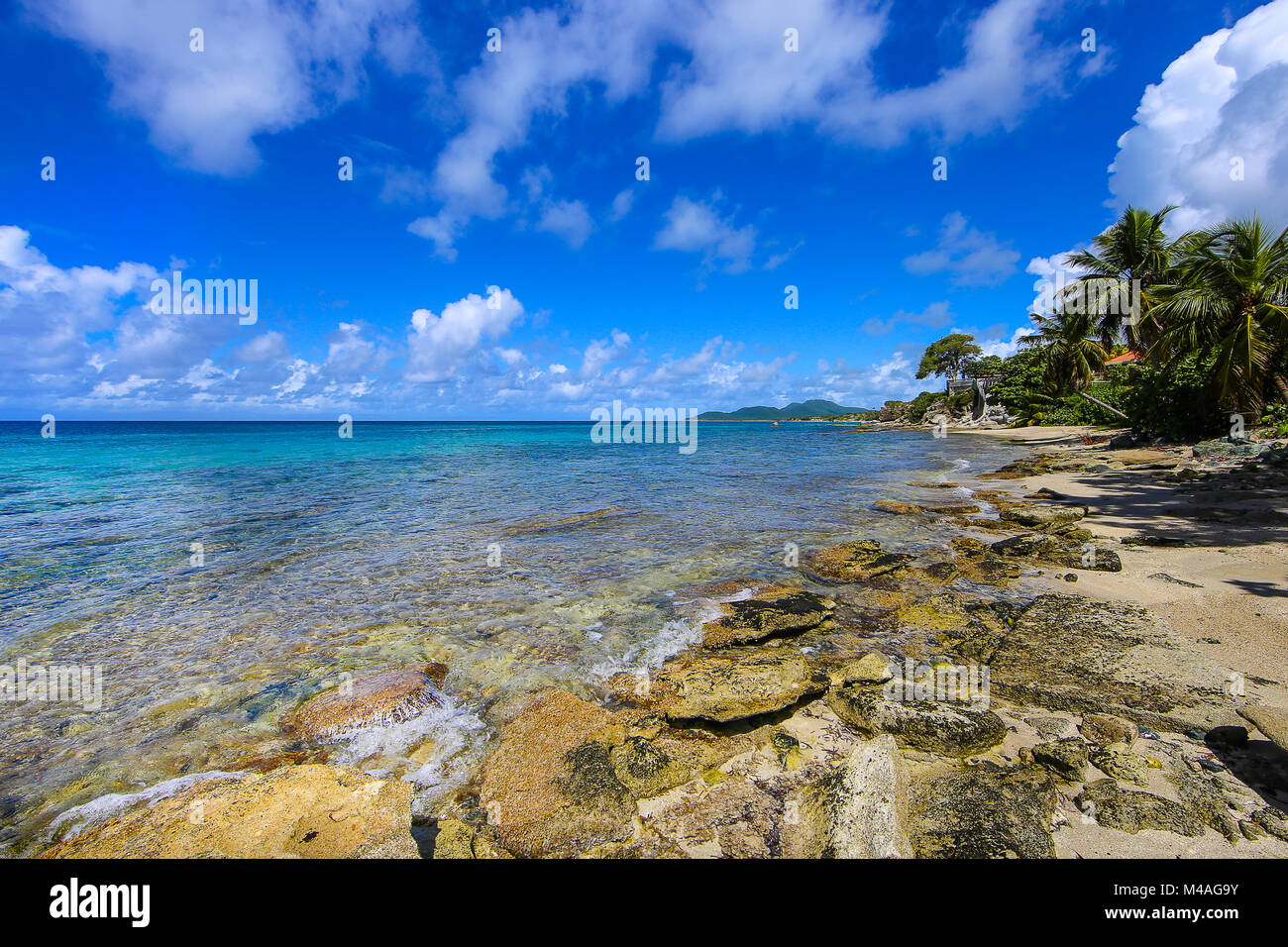 Vieques Beach... Banque D'Images