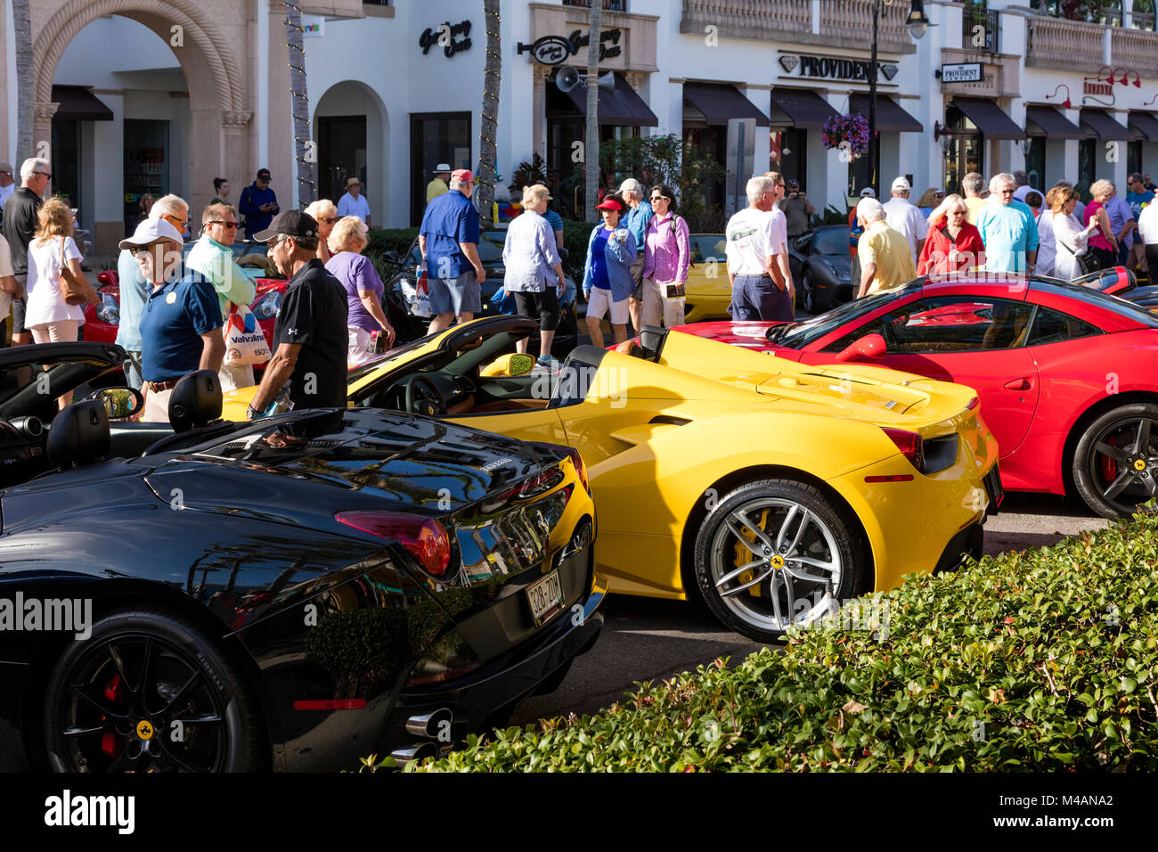 Ferraris sur l'affichage à l 'Cars sur 5th' autoshow, Naples, Florida, USA Banque D'Images