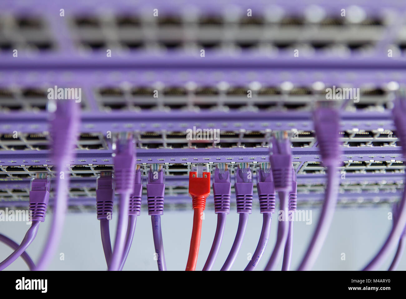 Connexion gratuite Banque D'Images