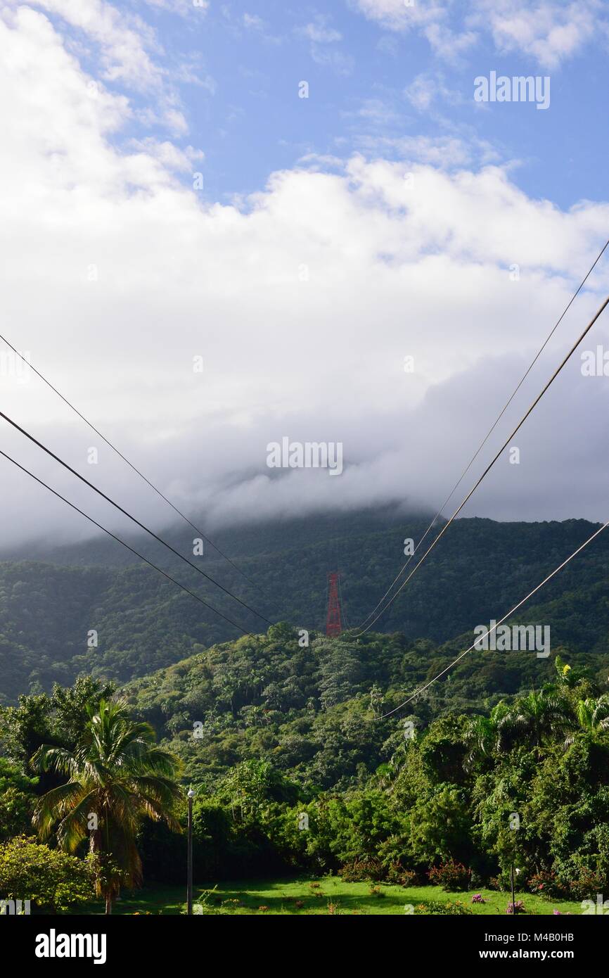 Paysage de la jungle avec les câbles du téléphérique Banque D'Images
