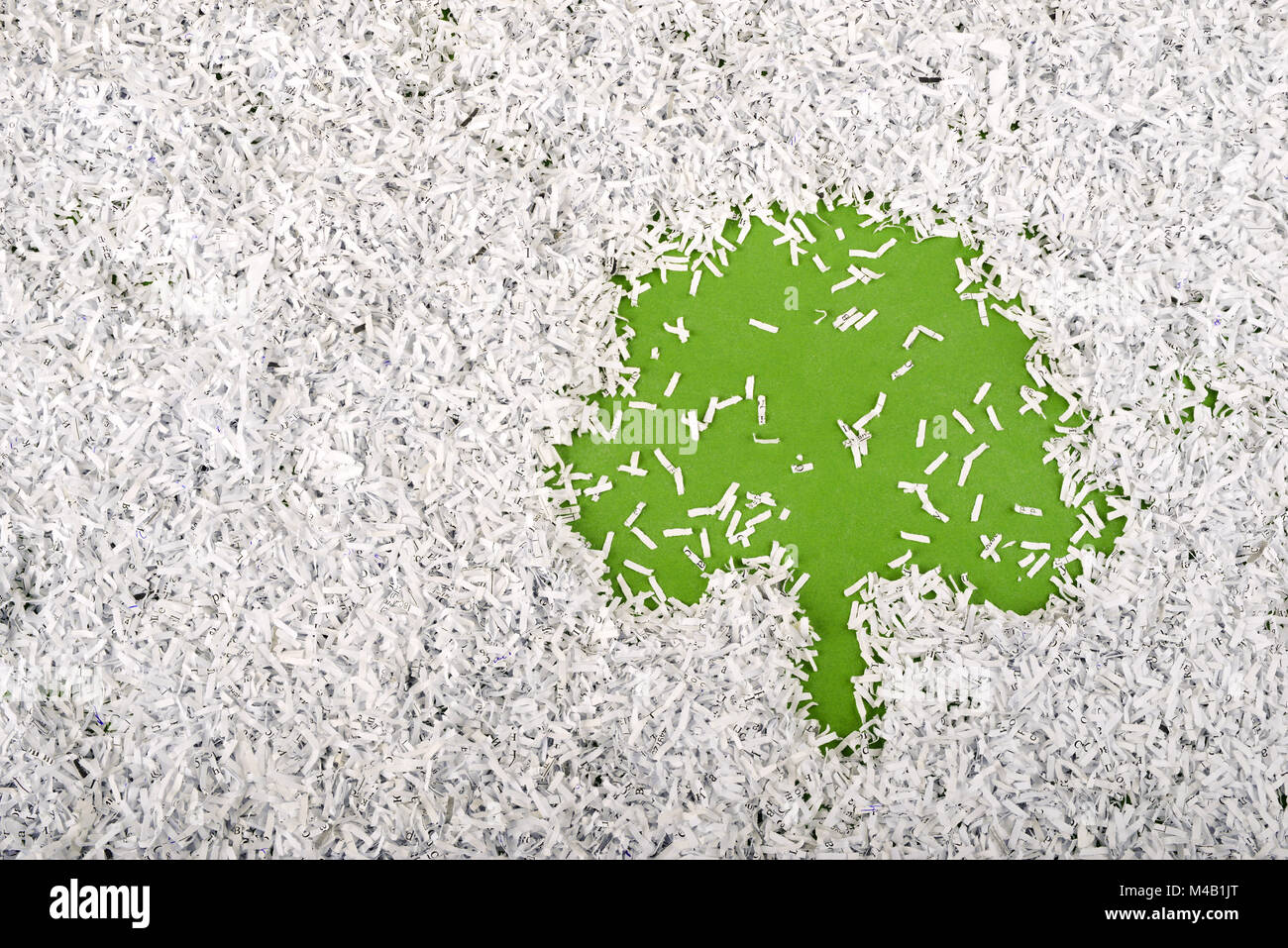 Symbole de l'arbre vert Banque D'Images