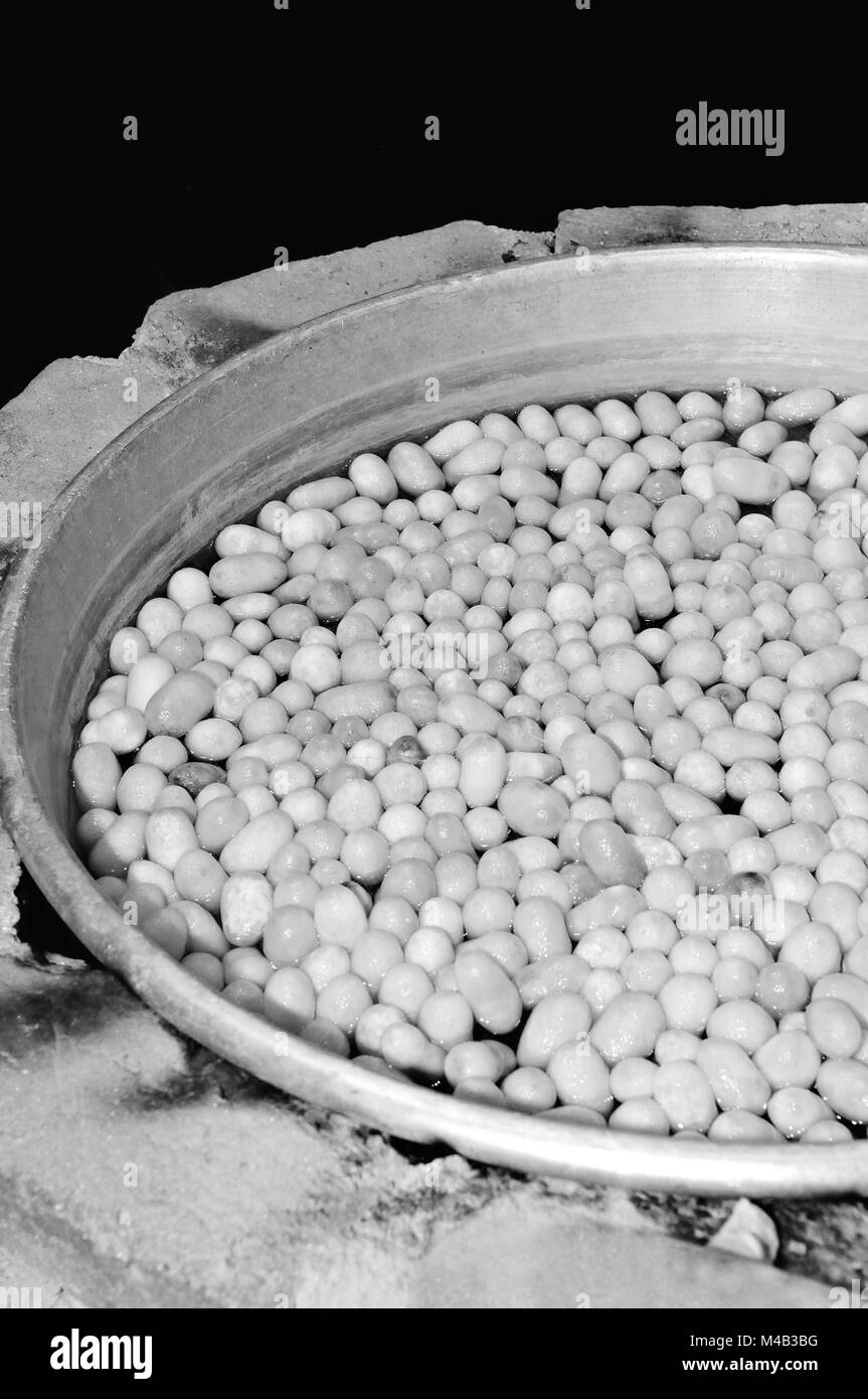 Les cocons de vers à soie dans le bol d'eau noir-blanc Banque D'Images