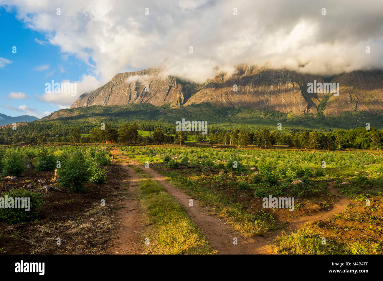 Mont Mulanje au coucher du soleil,Malawi,Afrique Banque D'Images