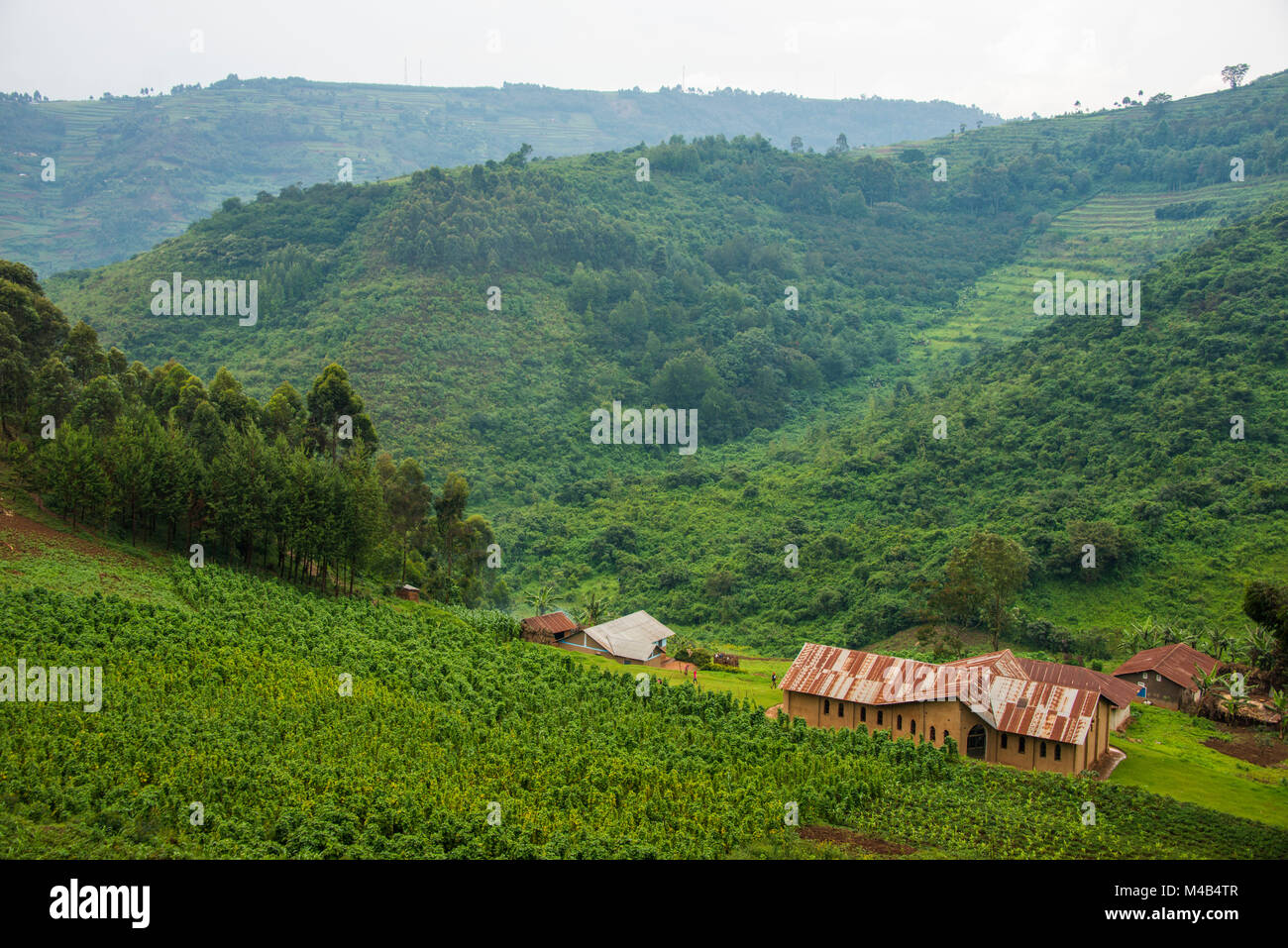 Paysage montagneux dans le sud de l'Ouganda,Afrique Banque D'Images