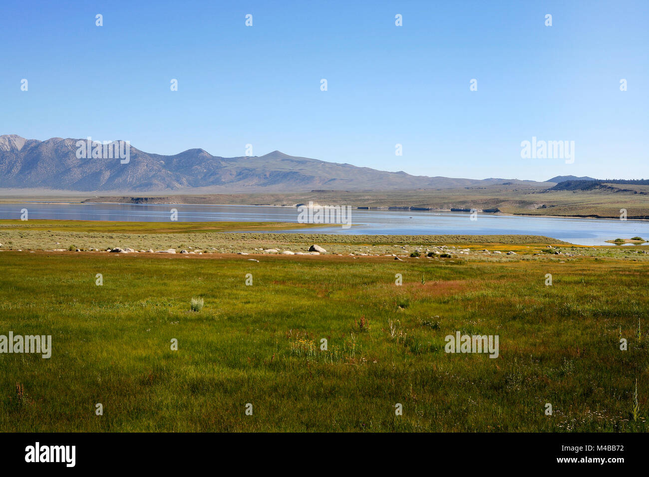 Paysage américain en Californie avec le lac et les montagnes dans la distance avec ciel bleu clair sur un jour d'été Banque D'Images