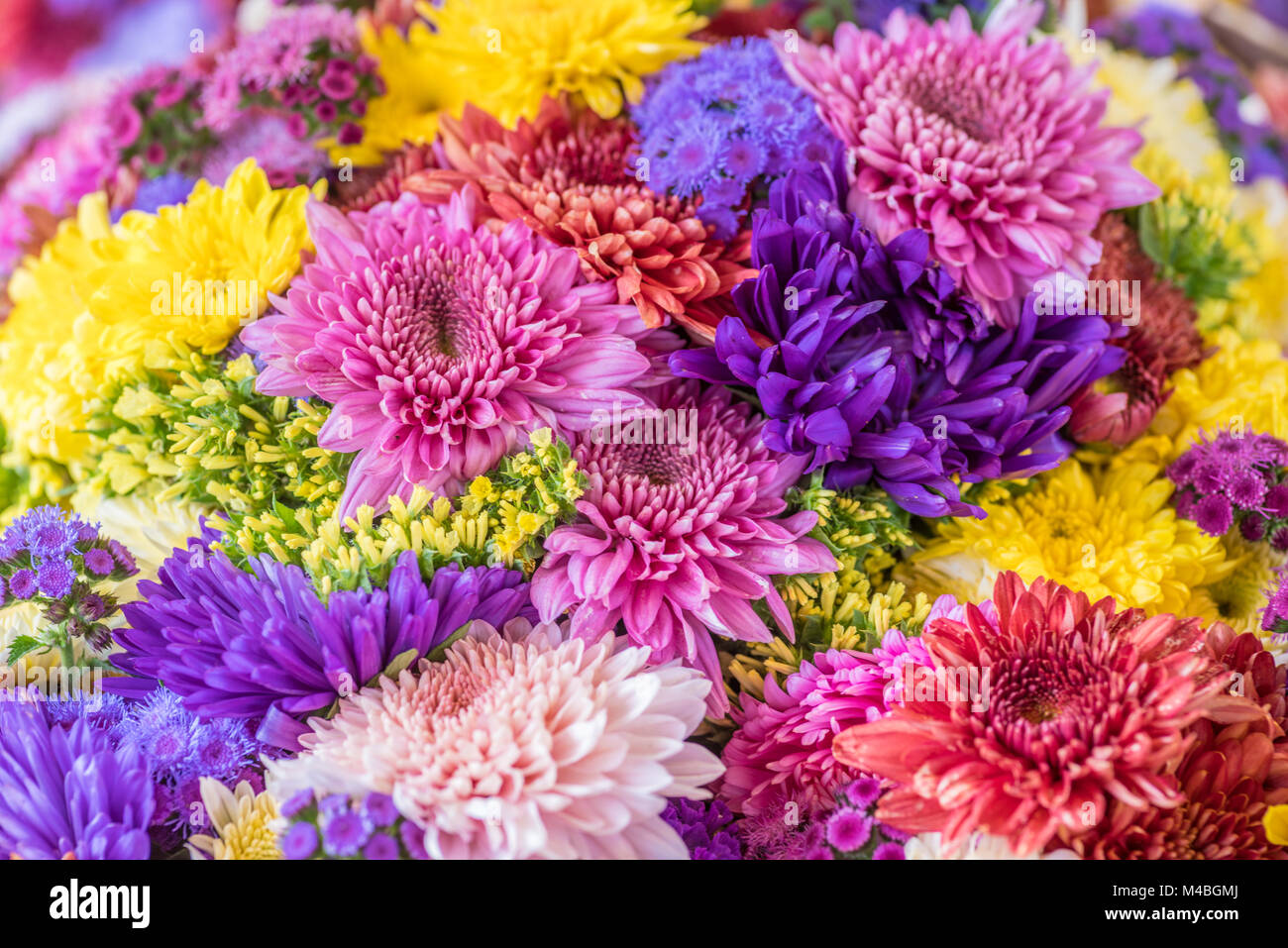 Bouquet de fleurs Banque D'Images