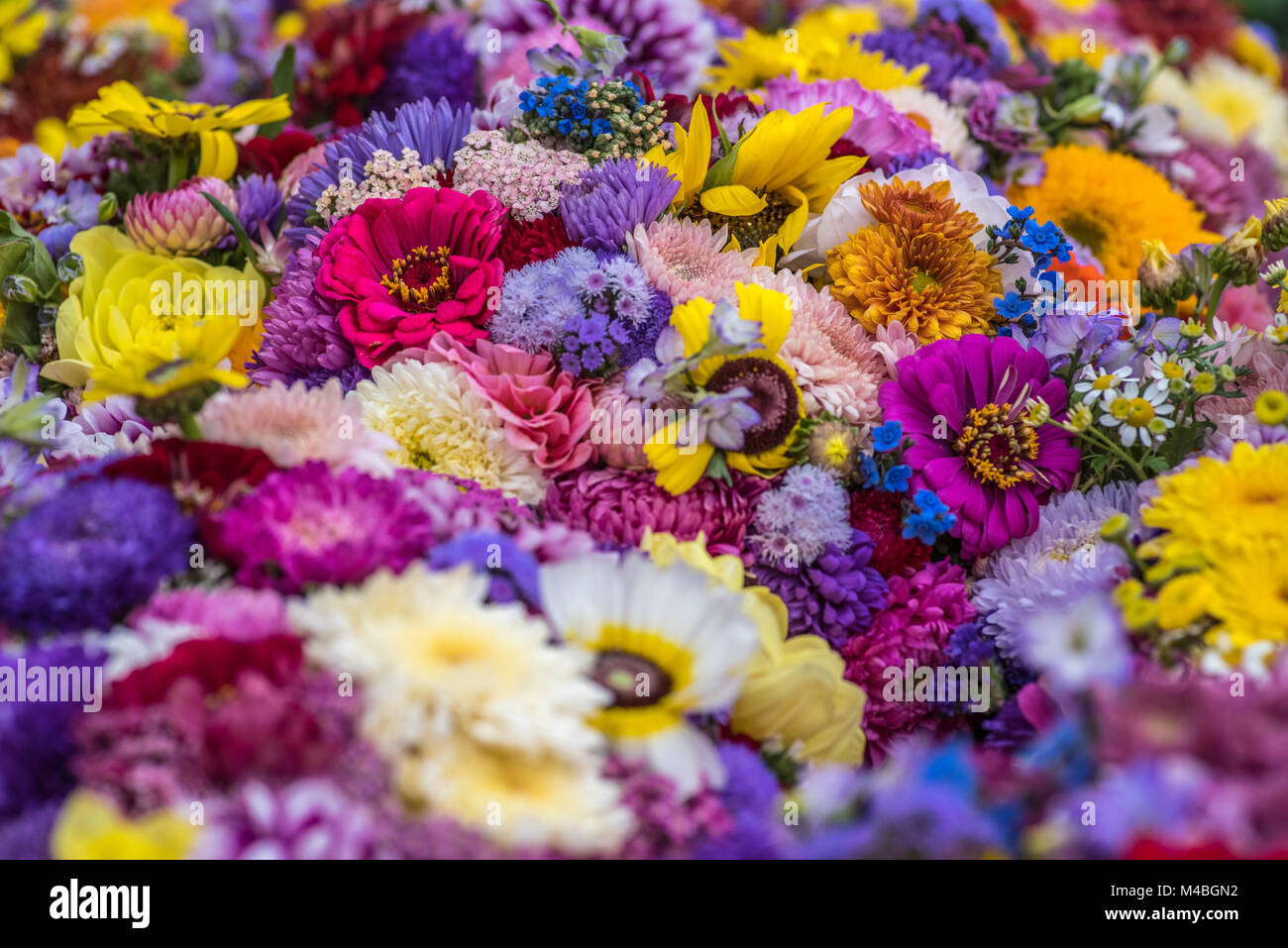 Bouquet de fleurs Banque D'Images
