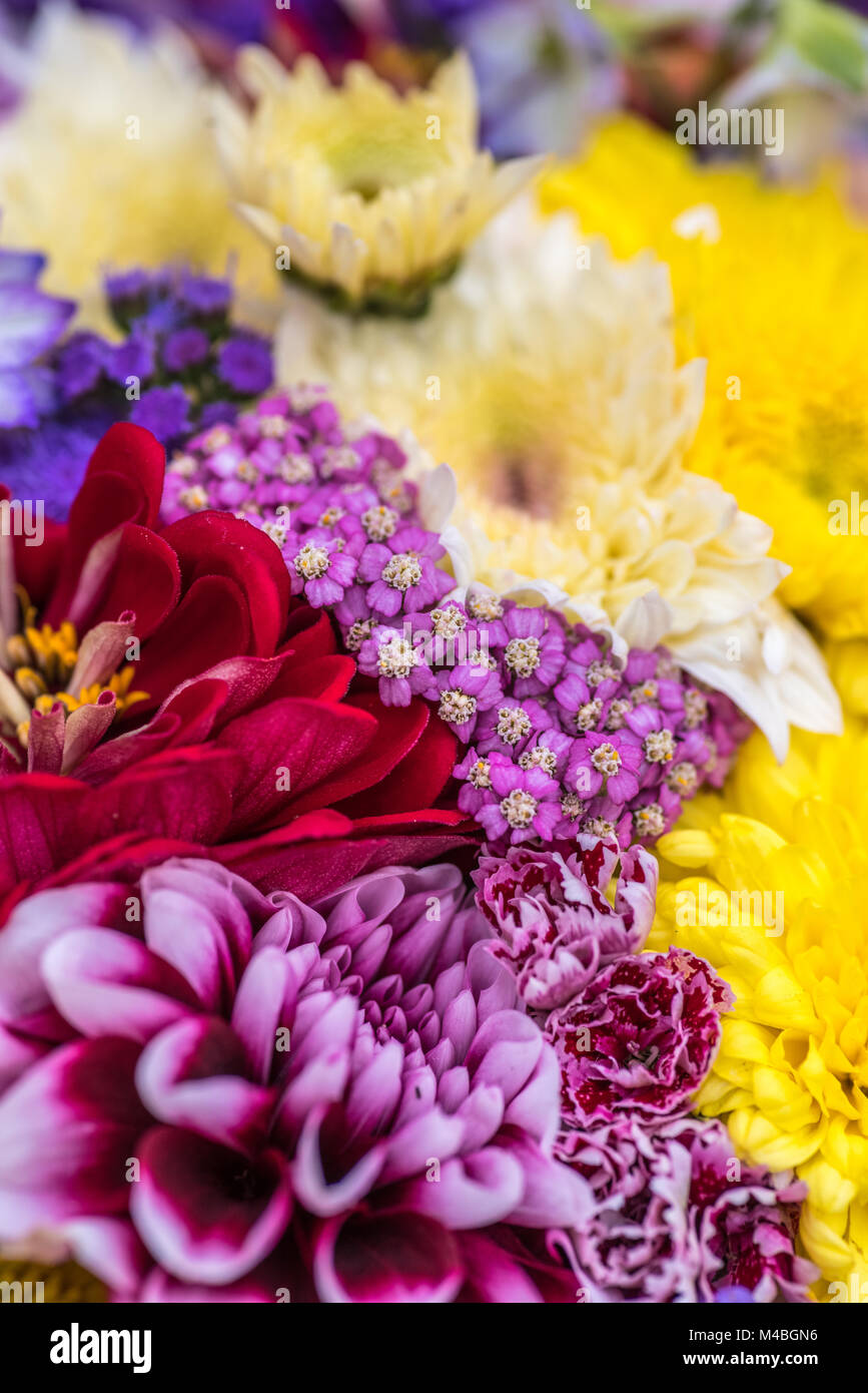 Bouquet de fleurs Banque D'Images